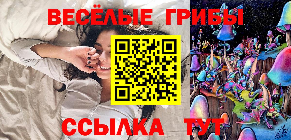 Псилоцибиновые грибы прущие грибы Шебекино