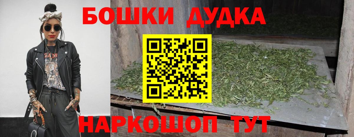 Конопля семена  Вход с VPN  Шебекино  Конопля сатива  Бошки Шишки конопля  Бошки Шишки OG Kush 